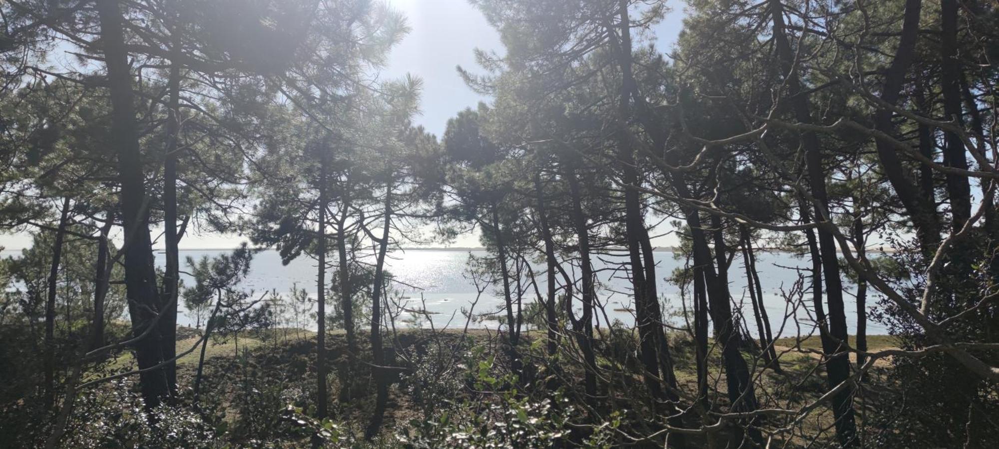 Mobil-Home - Camping Siblu Bonne Anse Plage Les Mathes Exteriör bild